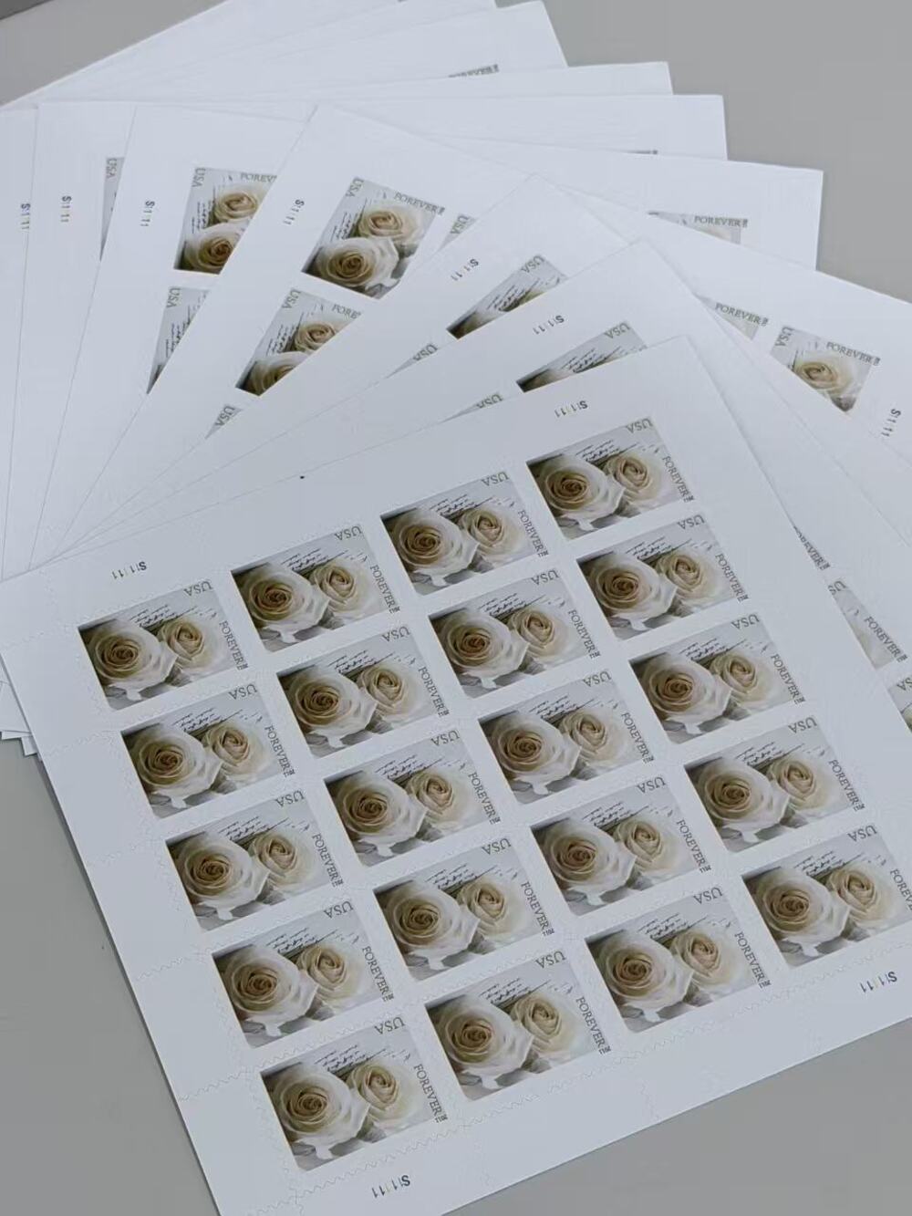 USPS Forever White Rose Floral Postage Stamp 5 Books